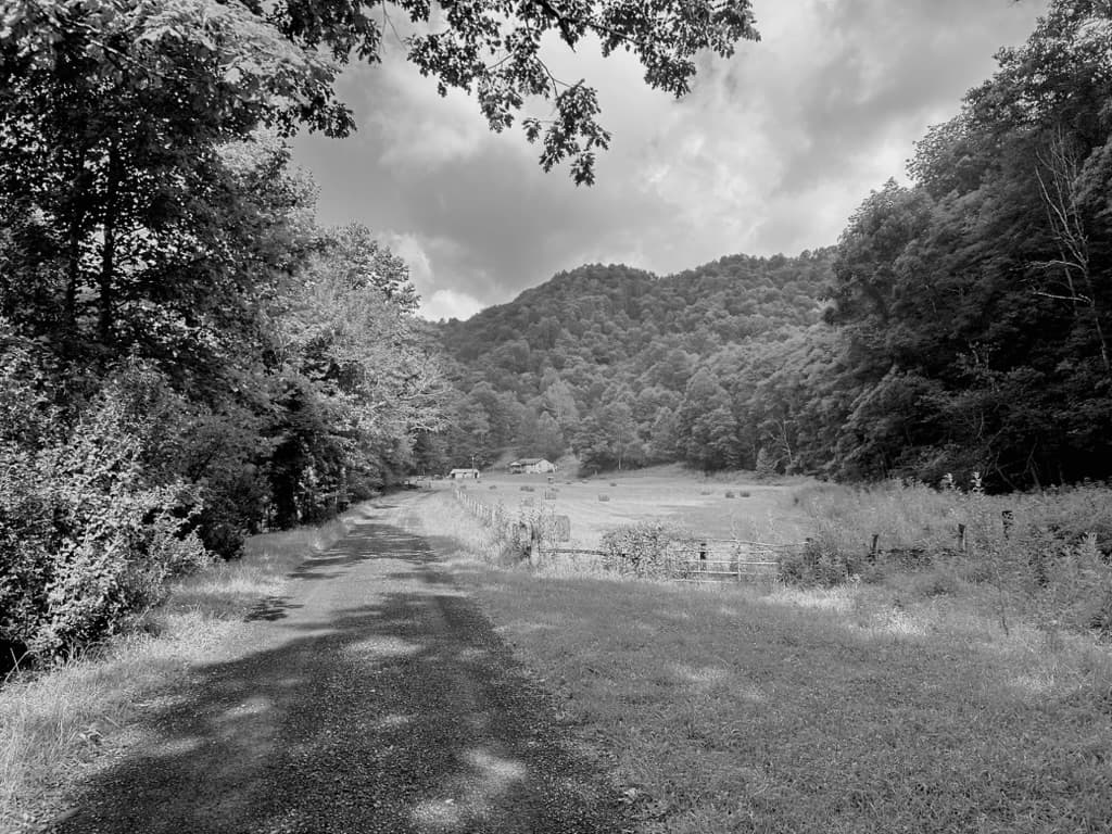 A gravel road running between West Virginia farm fields